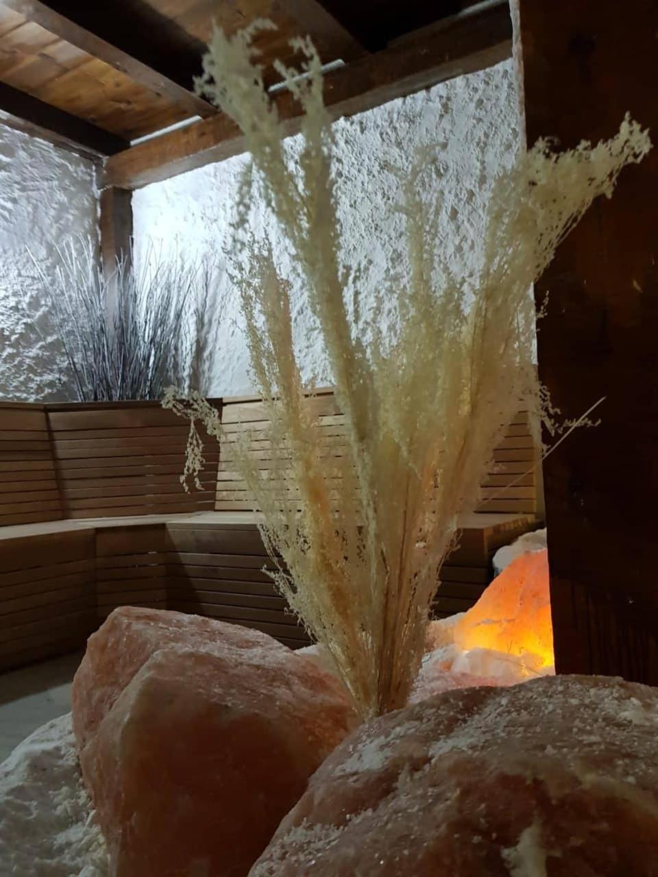 Hotel Tanne Bansko Luaran gambar